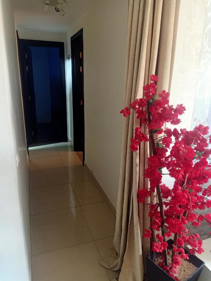 Fully Furnished Apartment At Ocean Blue Compound Kahire Dış mekan fotoğraf